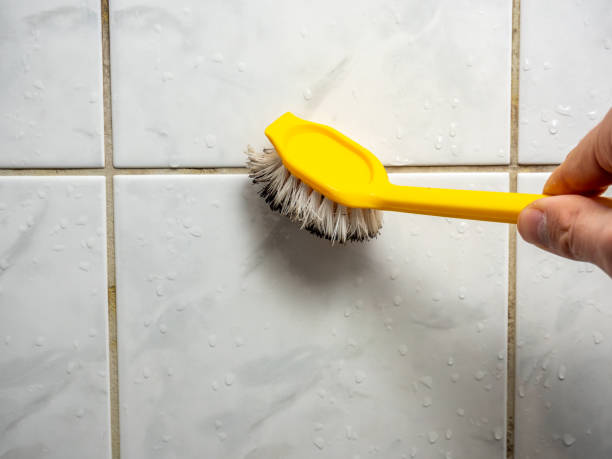 Best Bathroom Mold Remediation in Sa Conejo, CA